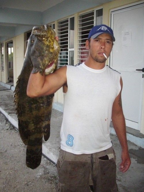 Fotos de Osmany V. Almaguer �lvarez: 1